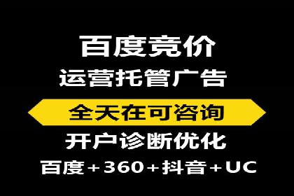 行业领先企业的SEM广告策略与效果分析